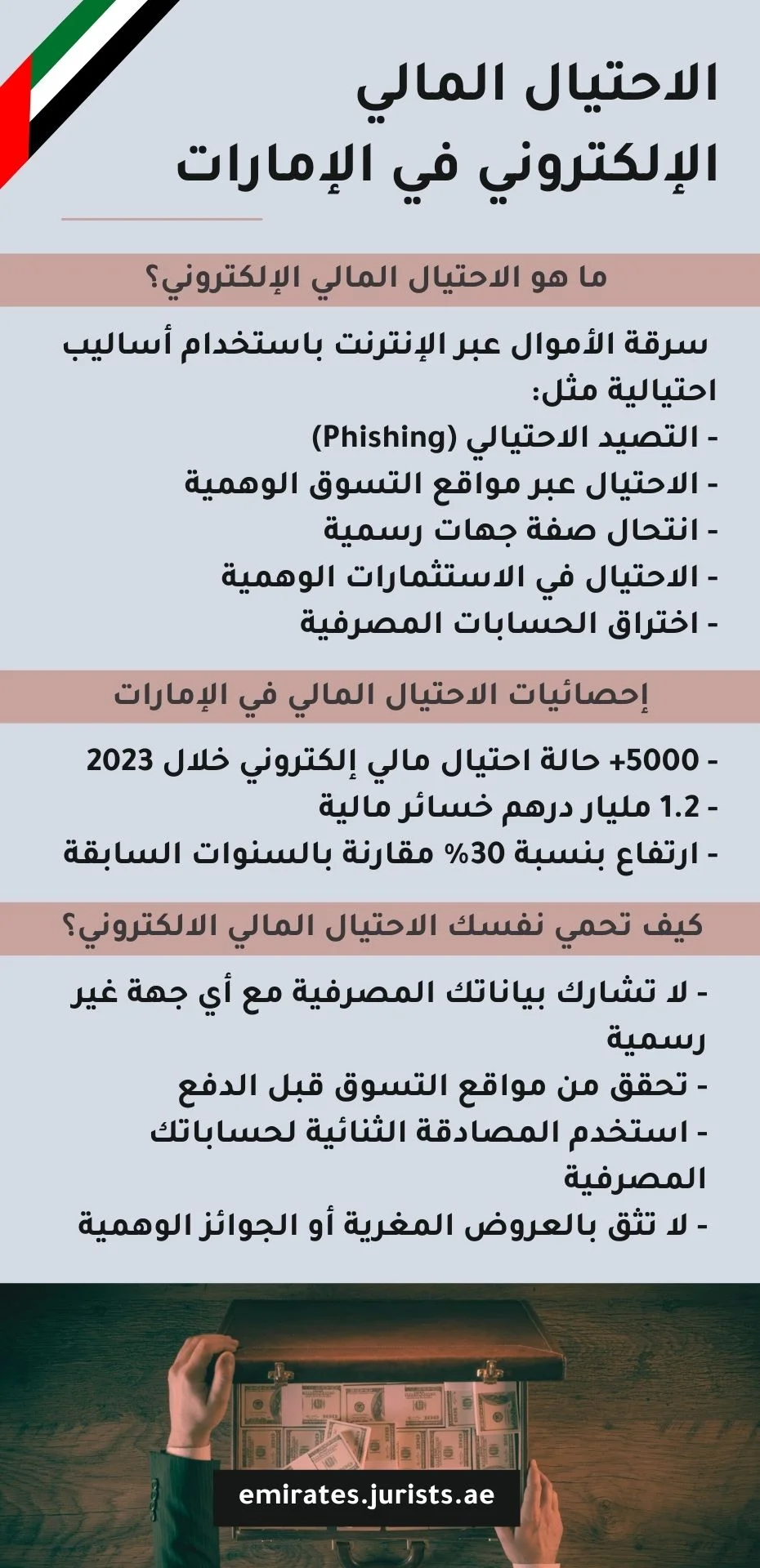 الاحتيال المالي الإلكتروني في الإمارات