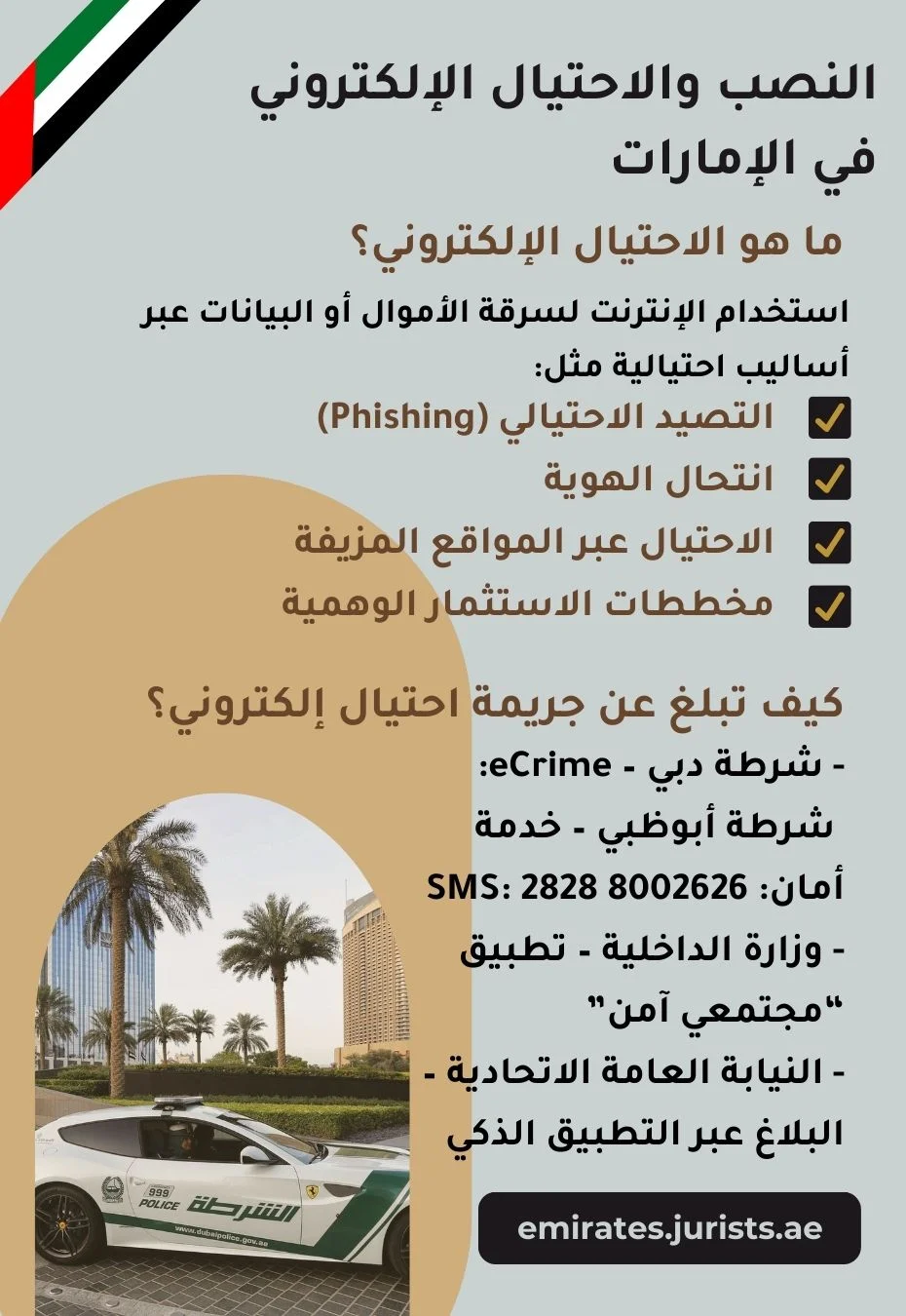 النصب والاحتيال الإلكتروني في الإمارات